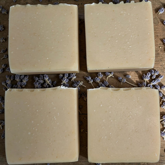 Organic Honey Oat & Milk Tallow Soap – Lavender & Lemongrass Essential Oils