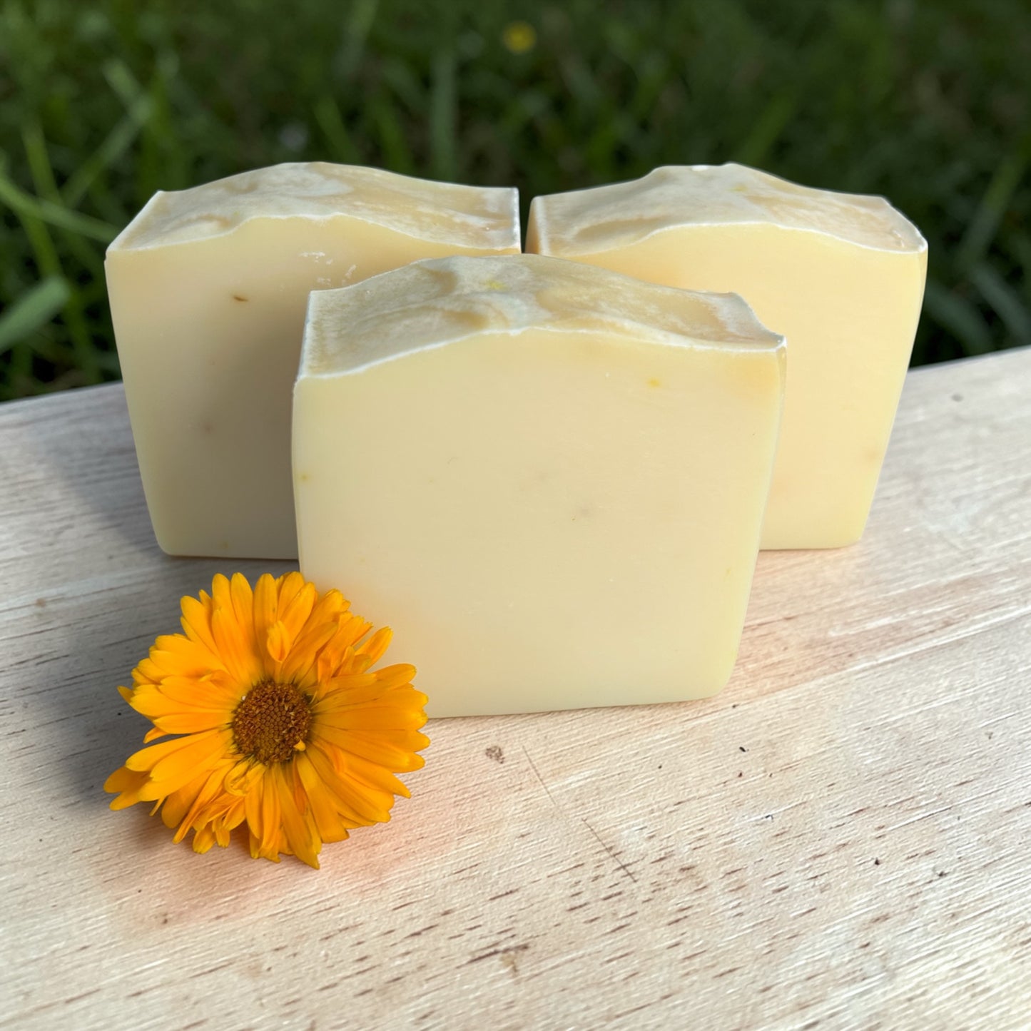 Calendula Calm – Lemongrass, Frankincense & Lavender Tallow Soap