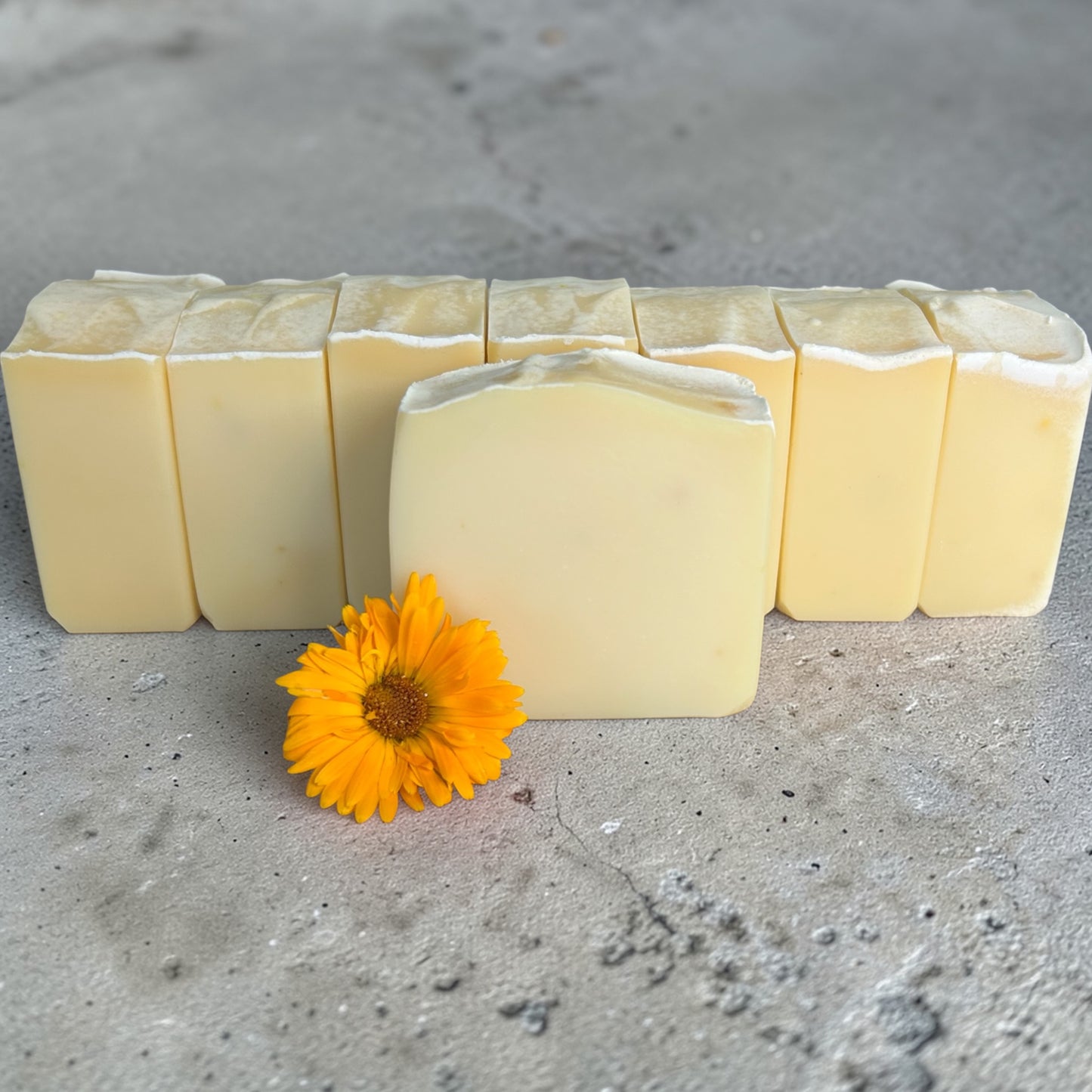 Calendula Calm – Lemongrass, Frankincense & Lavender Tallow Soap