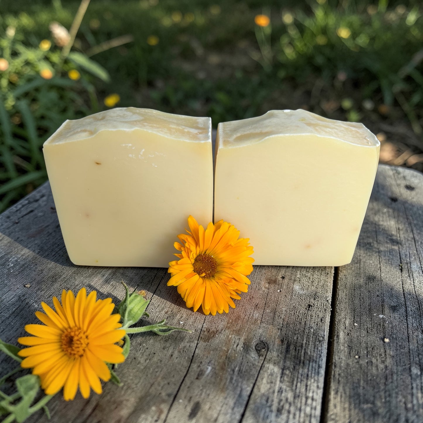 Calendula Calm – Lemongrass, Frankincense & Lavender Tallow Soap