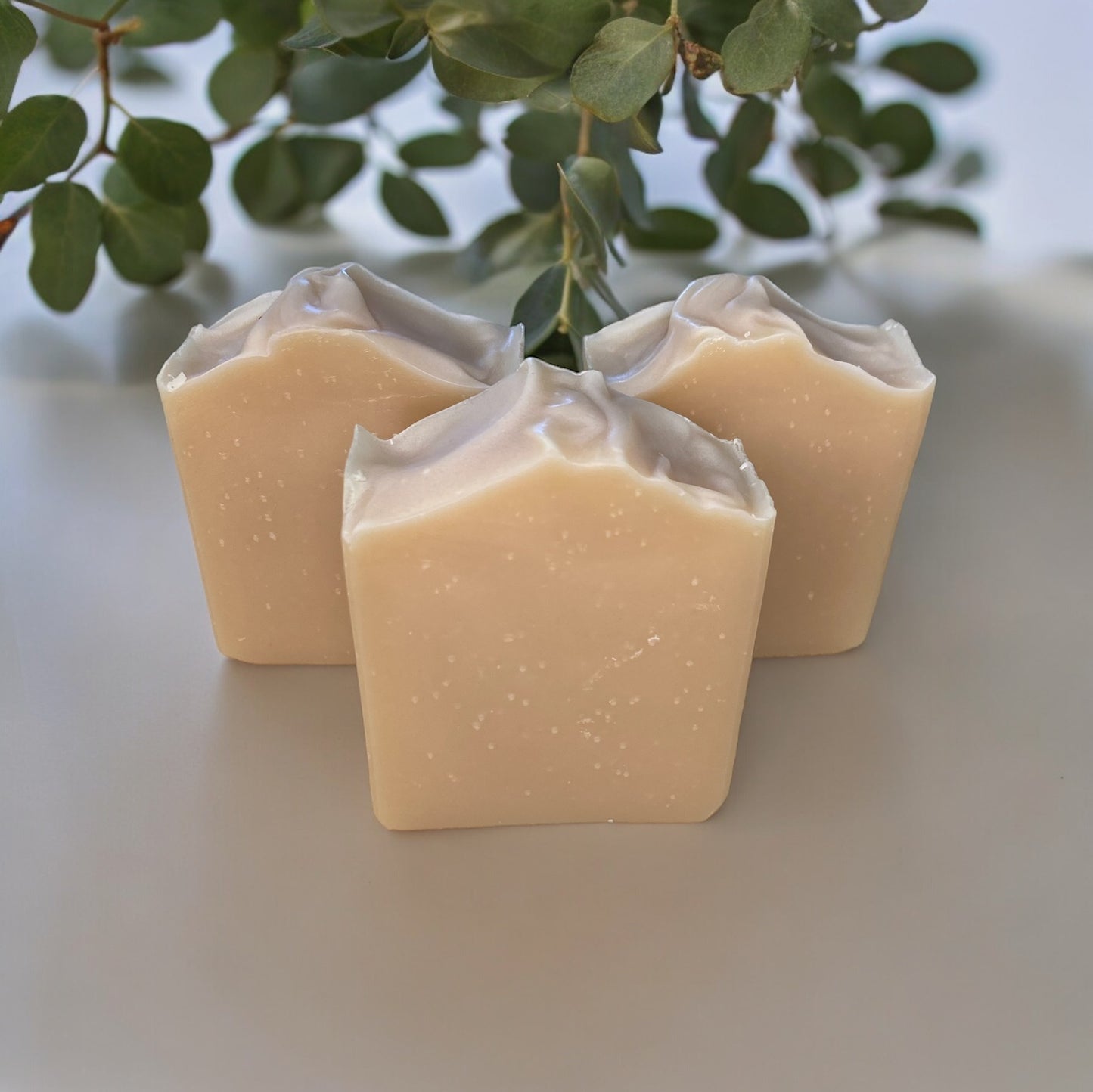 Eucalyptus Mint & Buttermilk Grass fed Beef Tallow All Natural Soap